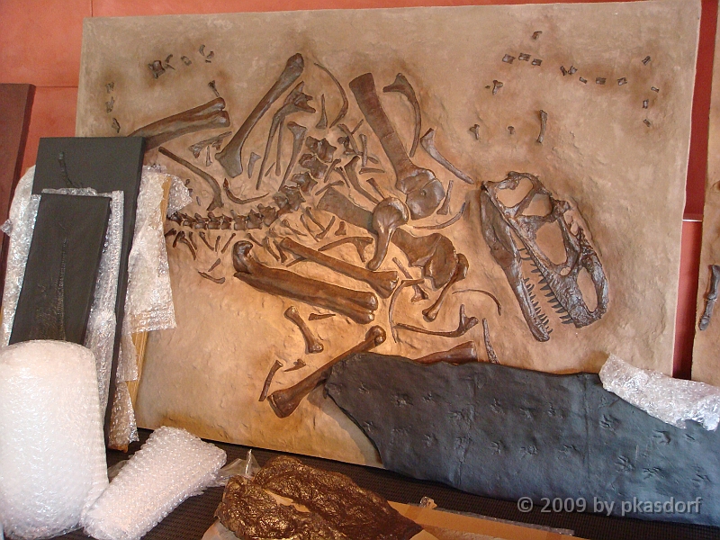 010 Cranbrook Institute of Science [2008 Jan 02].JPG